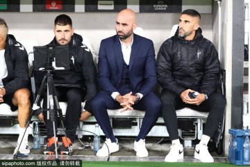 周雨千里奔赴德国,直播德甲见证樊振东拼搏的兄弟情深