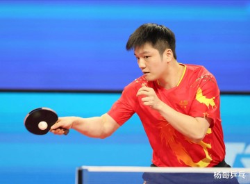 深度分析:樊振东为何要主动加盟德甲?他此举会带来什么影响?