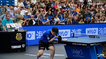 樊振东德甲首秀2连败!却输得太值了?网暴刀子比失利更刺眼!