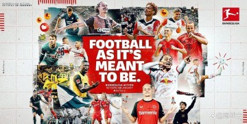 勒沃库森签下布拉斯维奇，德甲内部流转老门将