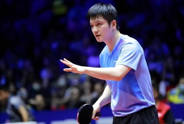 樊振东加盟德甲才过半月,暖心的一幕出现,韩莹的话让人动容!