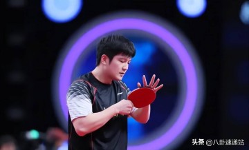 是金子总会发光,远赴德甲仅3个月,樊振东入选先进个人,太争气了