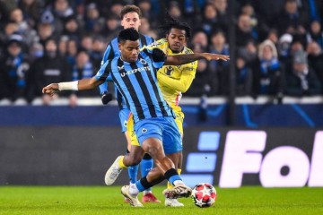 欧冠碾压局预警!拜仁主场迎战布鲁日,德甲霸主能否延续屠杀节奏?