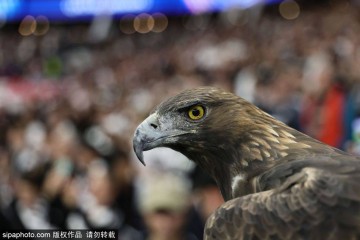 战术与激情的交汇：解密2023年欧冠决赛的背后故事