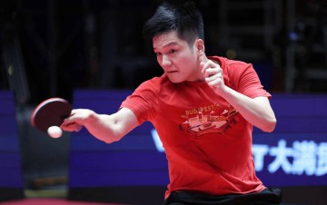 樊振东加盟德甲联赛,净收入预计多少?