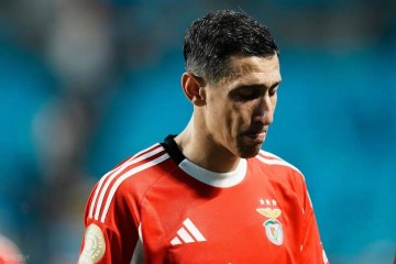 老兵不死！37岁副球王登顶世俱杯射手榜，或重返阿根廷队参加世界杯