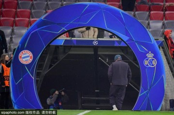 凯恩续约拜仁：从英超之星到德甲传奇的蜕变之路