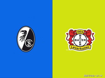 【老六说个球3.7】今日公推德甲：弗赖堡VS勒沃库森