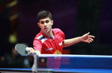 6天改写乒坛剧本!樊振东空降德甲,让欧洲俱乐部尝到顶流红利