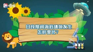 本泽马金球奖赛季，皇马欧冠夺冠核心