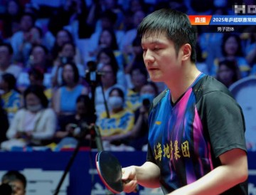 樊振东12连胜,无人能敌!德甲前一战不败,王楚钦非对手