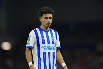 罗马诺&迪马：克雷莫纳租借布莱顿边锋萨米恩托 球员可能今晚抵意