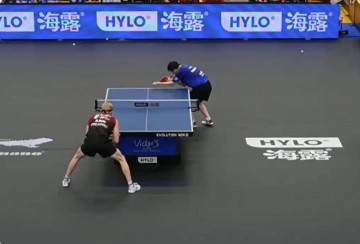 樊振东德甲首秀两连败!国外也需要人情世故!球迷认为小胖放水