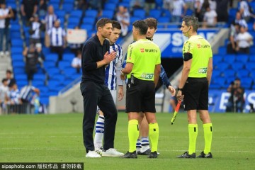 樊振东的西甲之旅:每一次失利都是成功的前奏,重返赛场的信念与决心