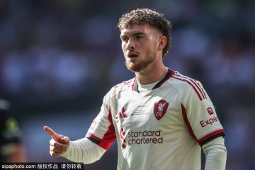 维拉锁定埃利奥特:3500万欧强制买断背后的战略考量与未来展望