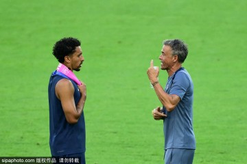 法甲2025夏窗五大最贵引援:谁在改变联赛格局?