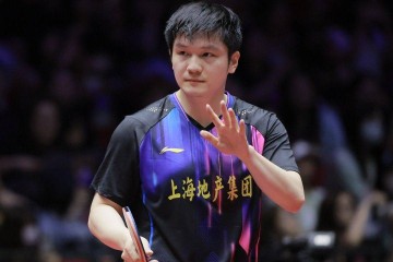 德国媒体透露:樊振东参加德甲时间初定,门票备受追捧