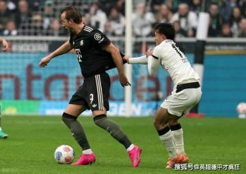 拜仁凯恩8轮德甲打进12球!挑战莱万41球纪录鼎之轻重似可问焉!