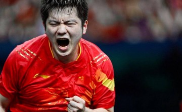 樊振东走向德甲之路：突破个人选择抑或对刘国梁WTT模式的挑战？